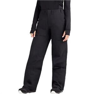 DAKINE Reach 20K 2L Ski Pants Womens Sz Large NWT Insulated Snow Winter Recco